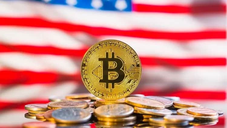 Postawili wszystko na bitcoina. najbardziej zyskowna firma w usa
